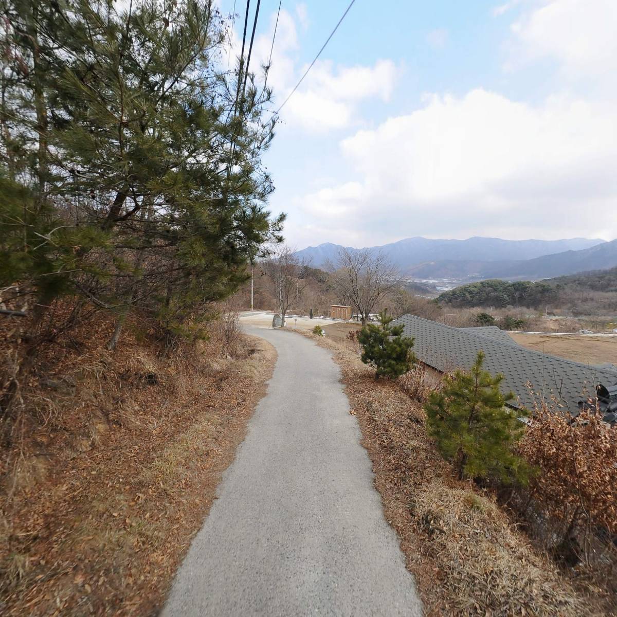 대한불교조계종 붓다선원_2