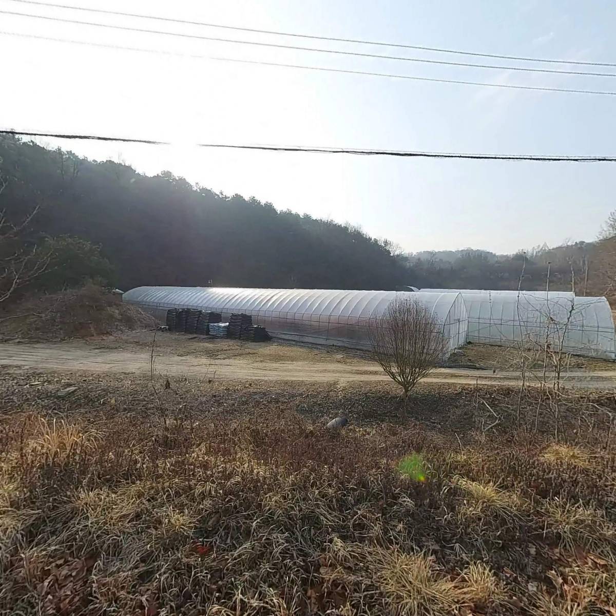 대전 비알티 주식회사