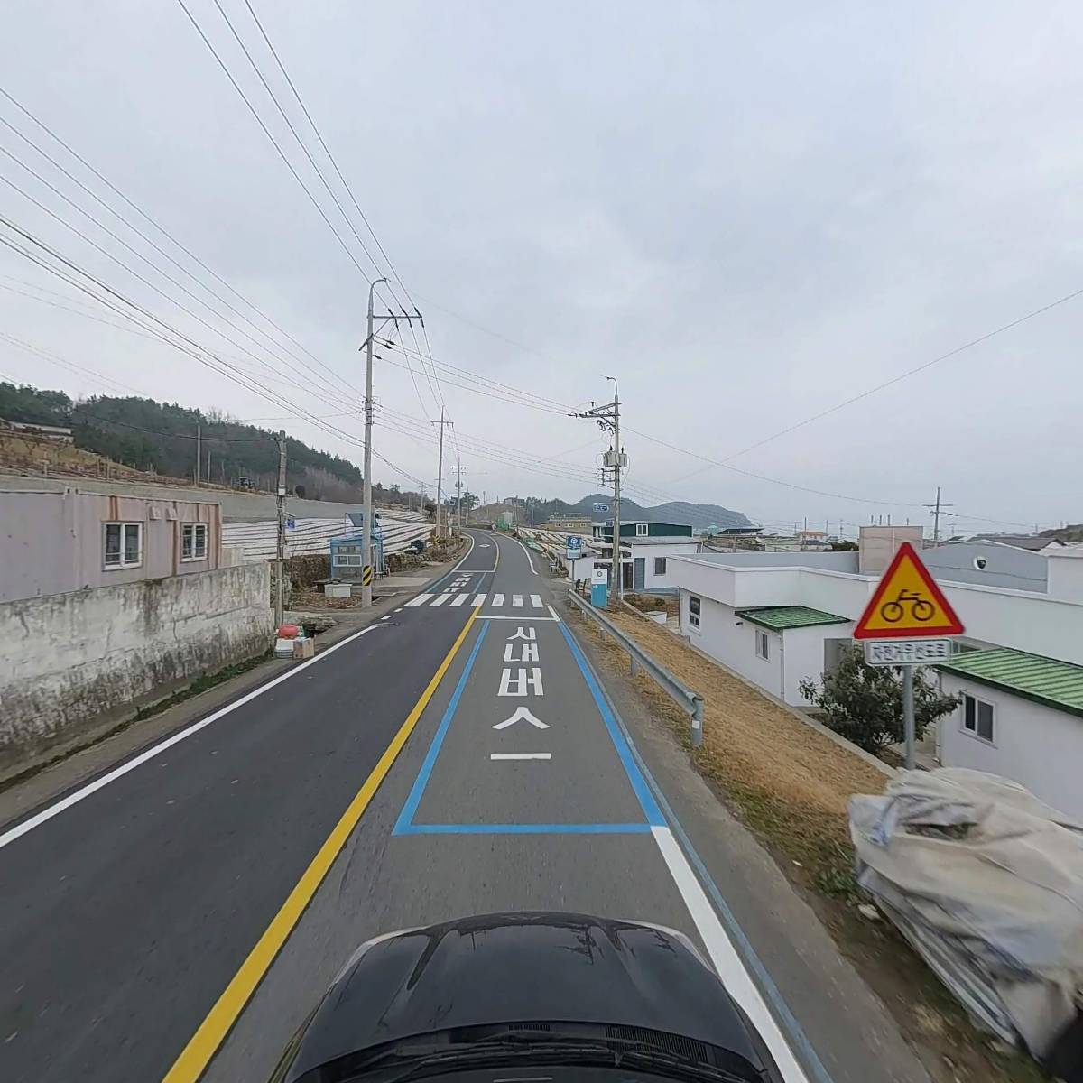 감도본동동계_4