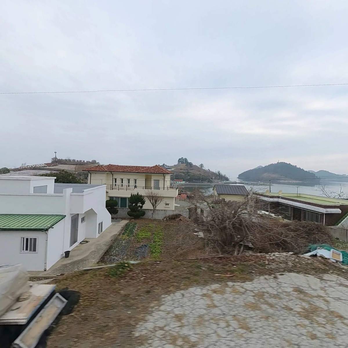 감도본동동계