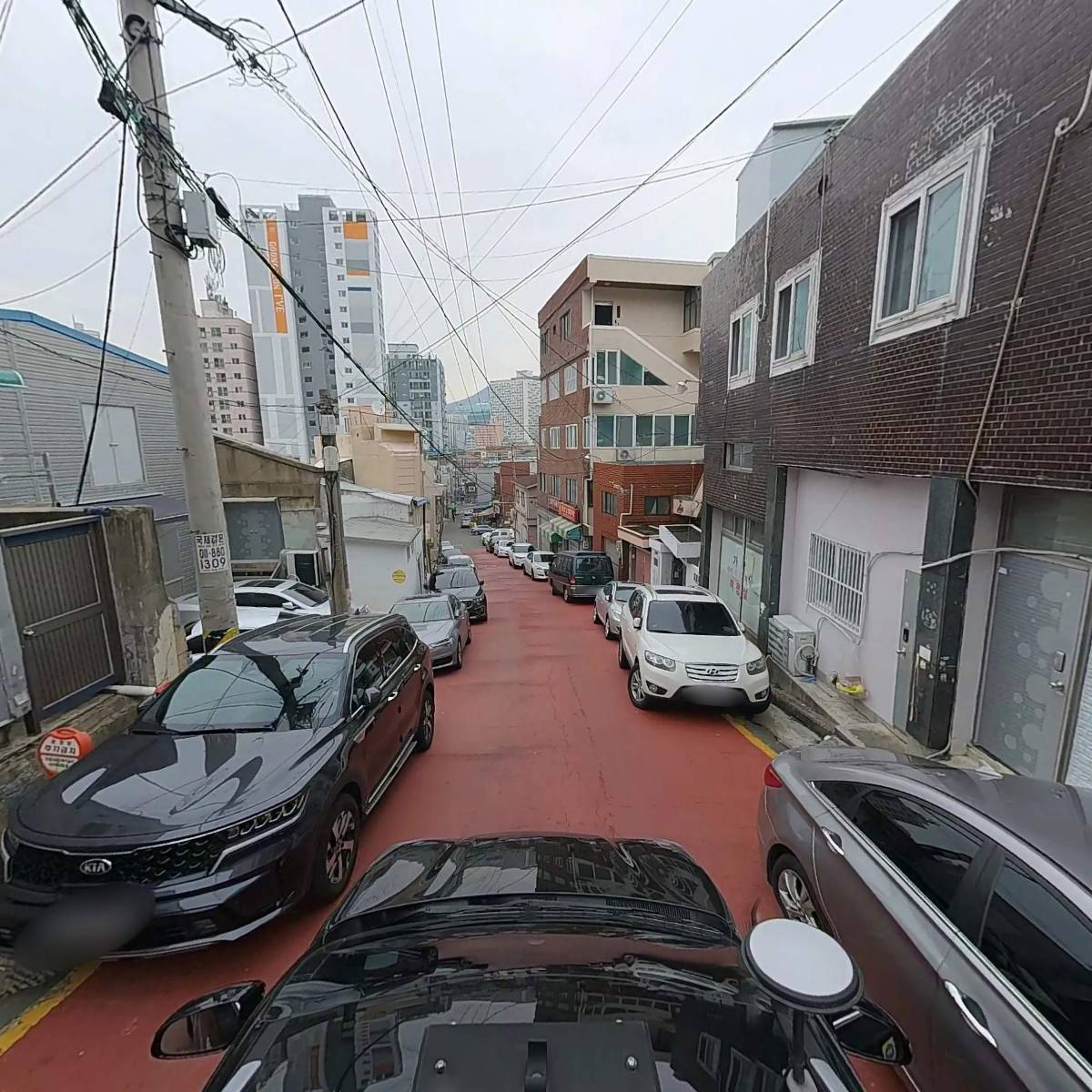 키디폴_4