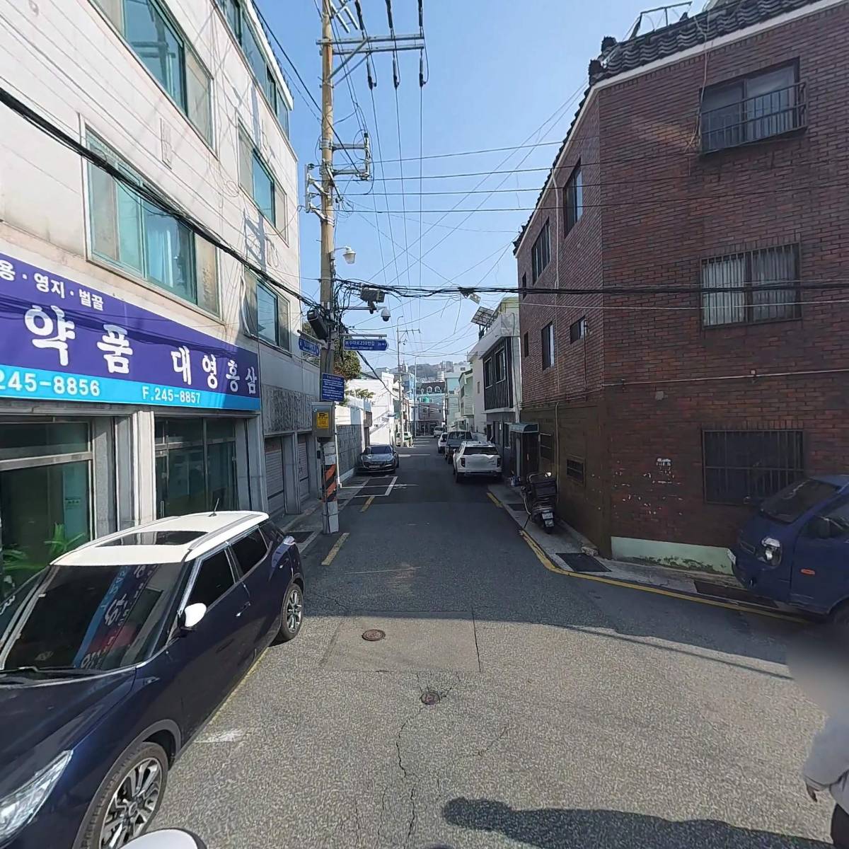 대영한약품_2