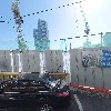 장용진