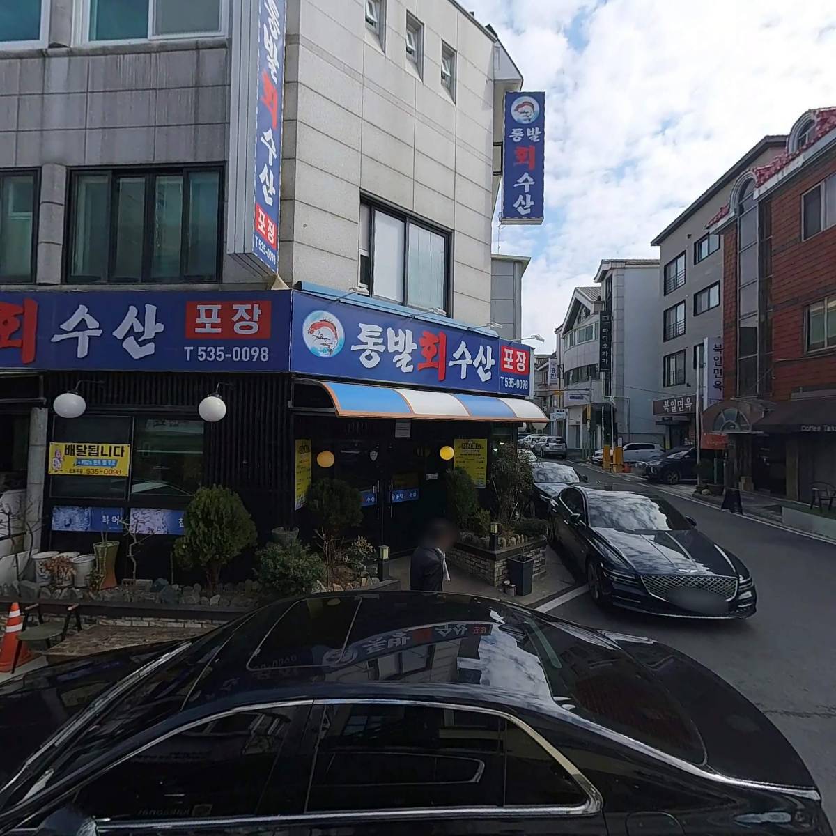 담쟁이