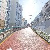 하치앤쏭(세브로우)_2