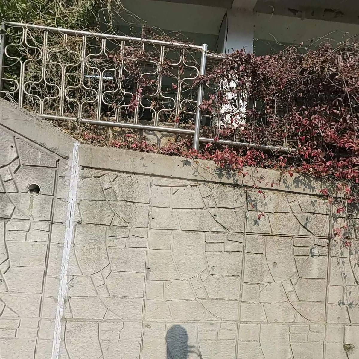 수통골장수오리판암점
