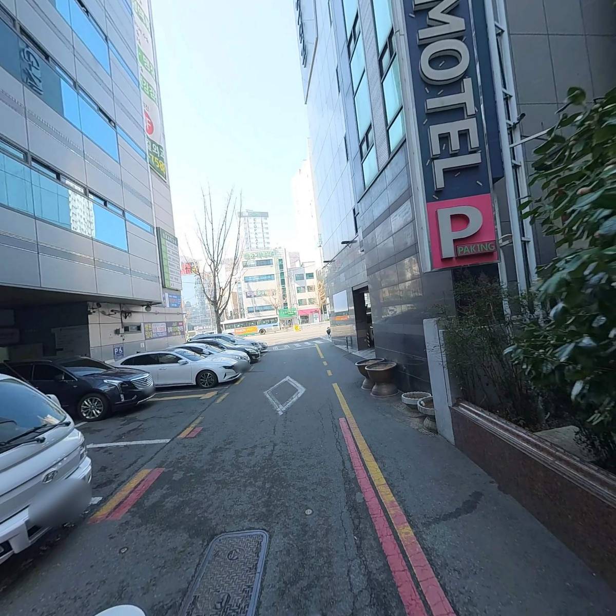 코끼리내과,진단방사선과의원_2