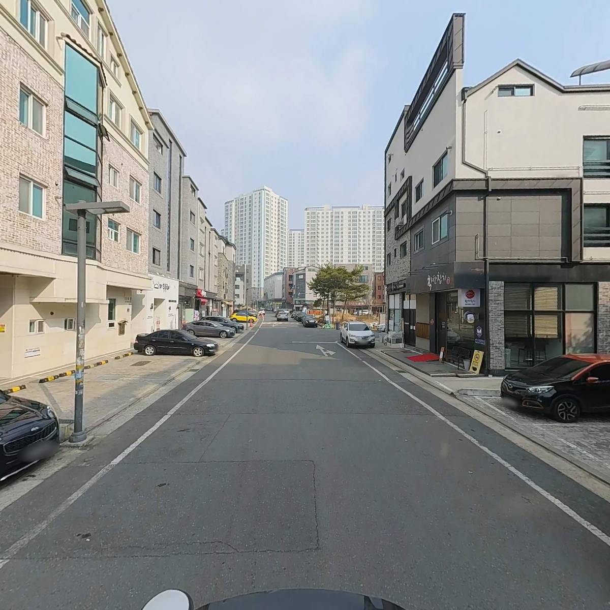 지아애견샵_2