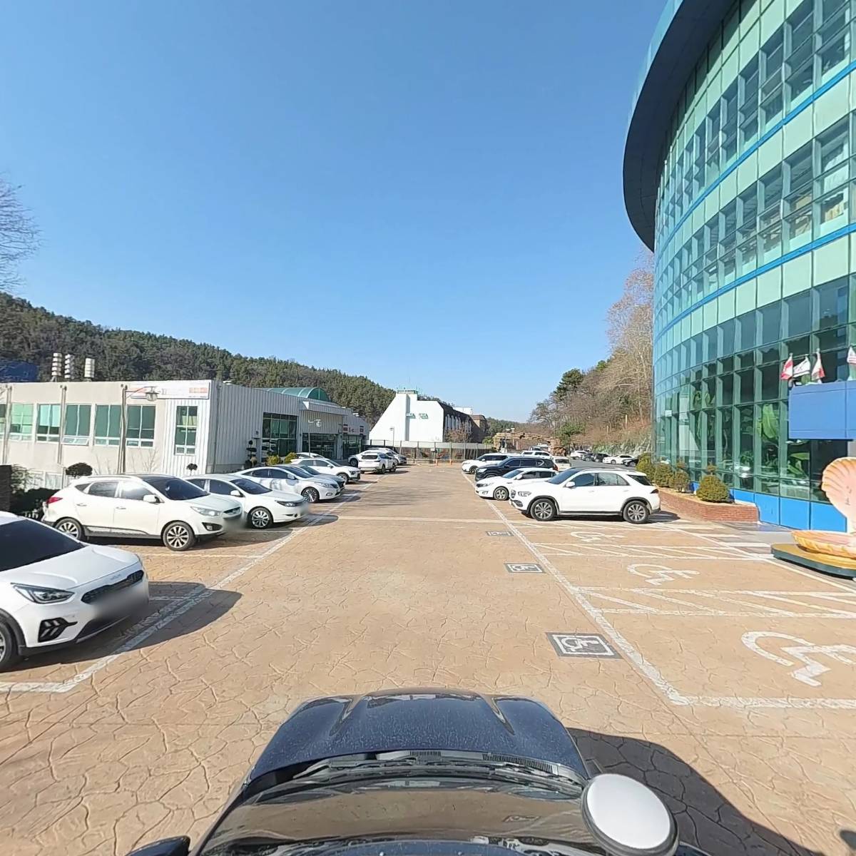 아리움_4