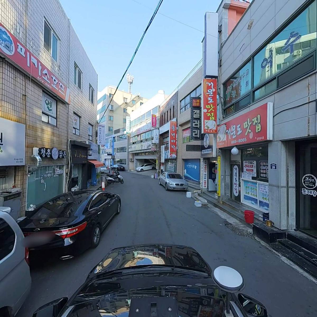 소담딤치_4