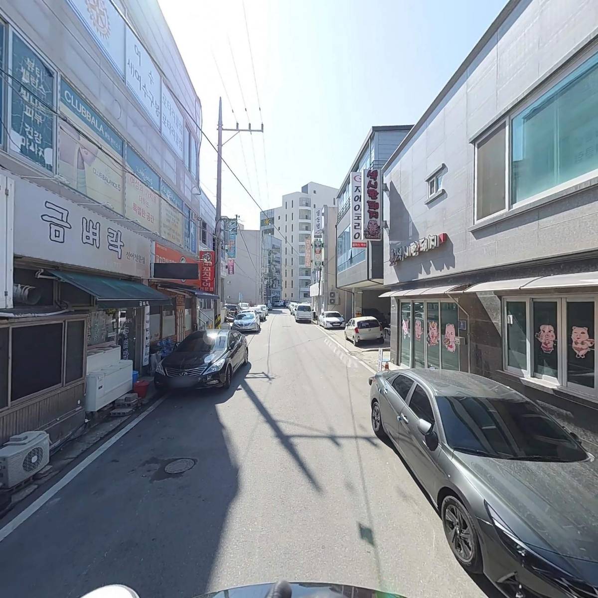 섹시한돼지_2
