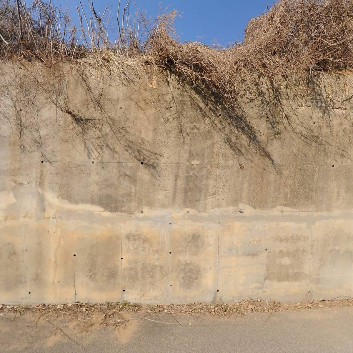 산청산양삼영농조합법인