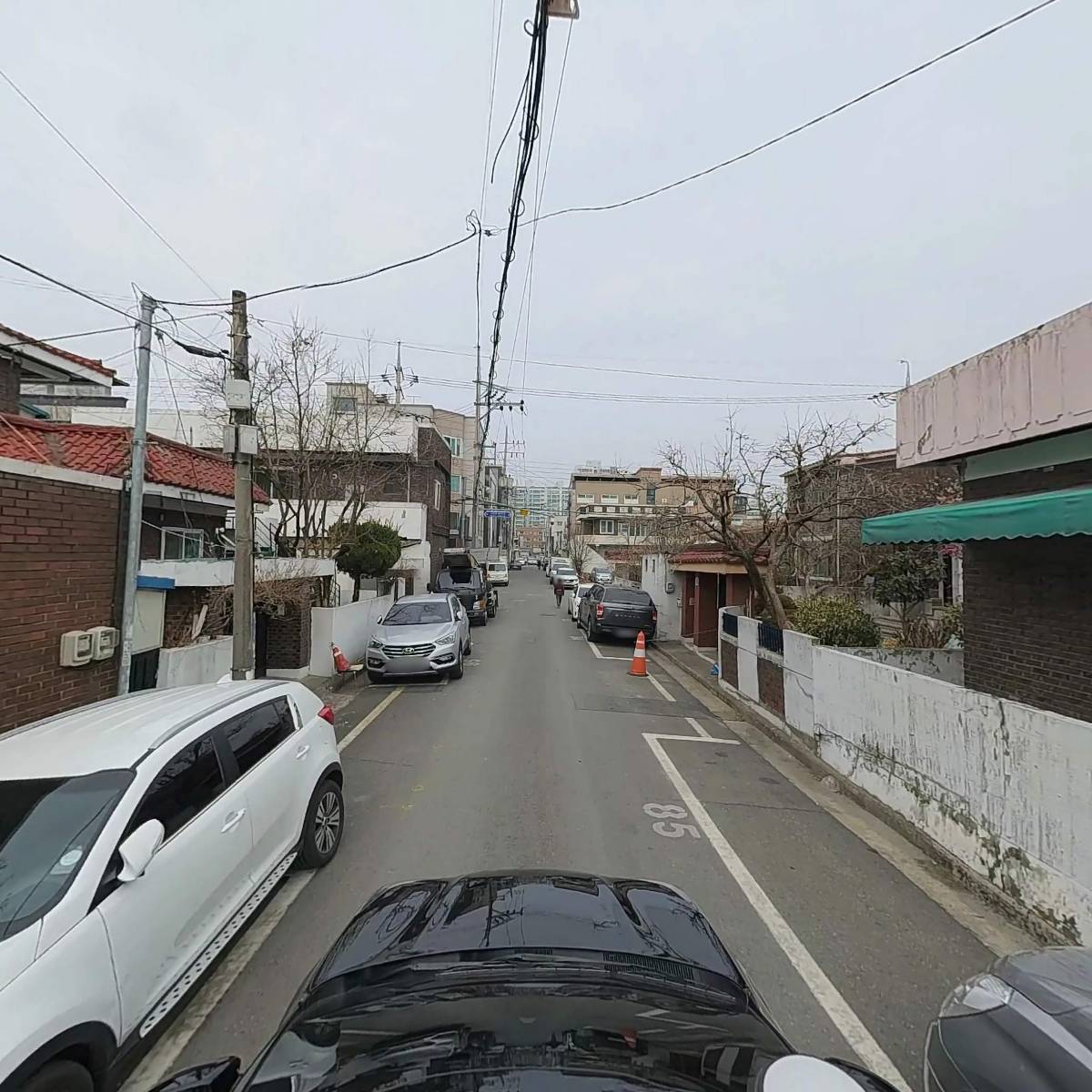 생물다양성정보연구소_4