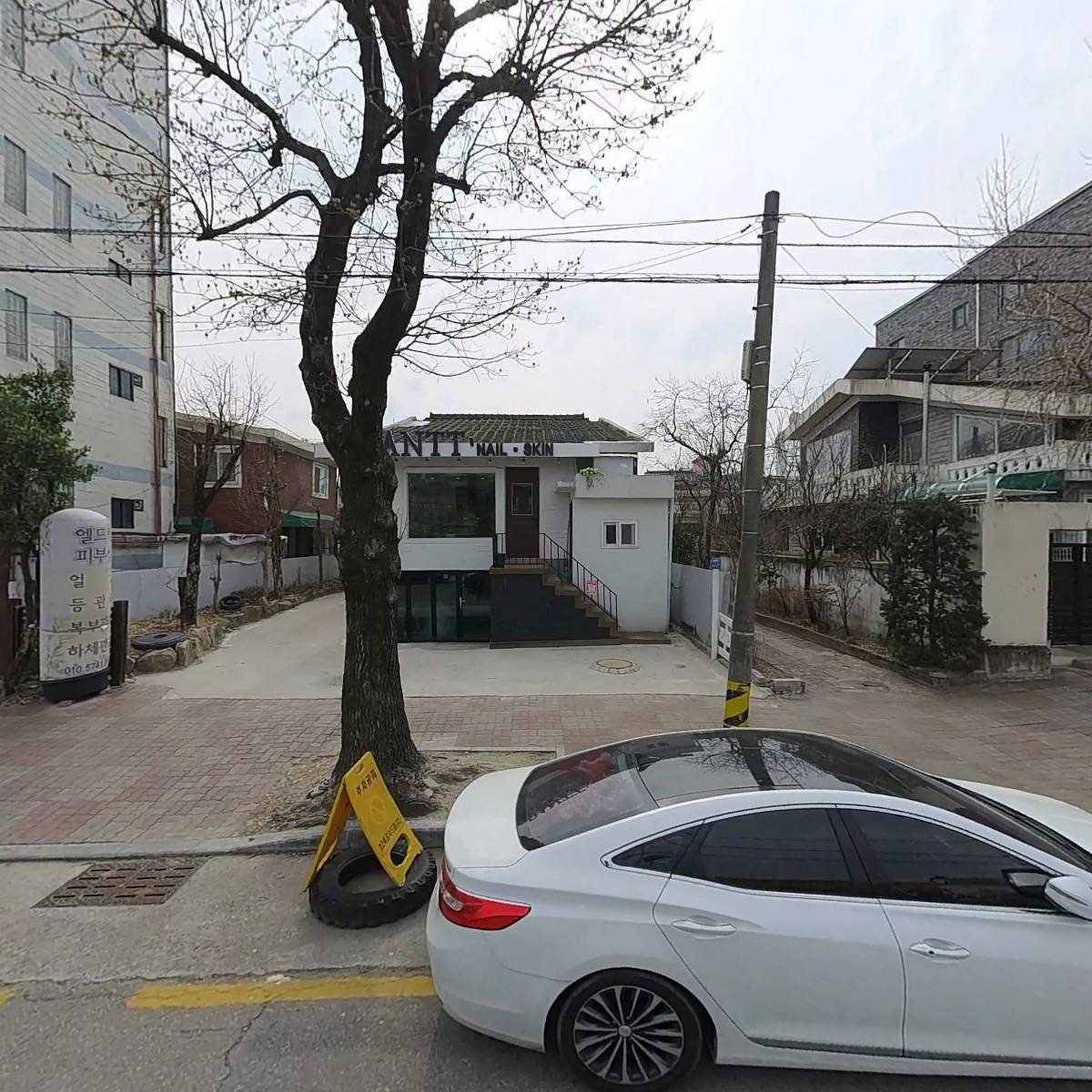 단트네일
