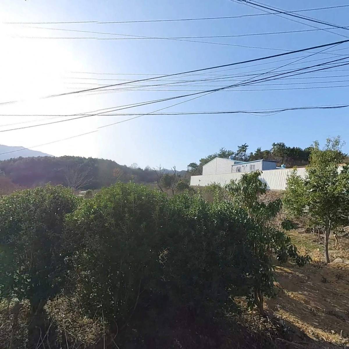 대한민국만세복합물류(정상렬)