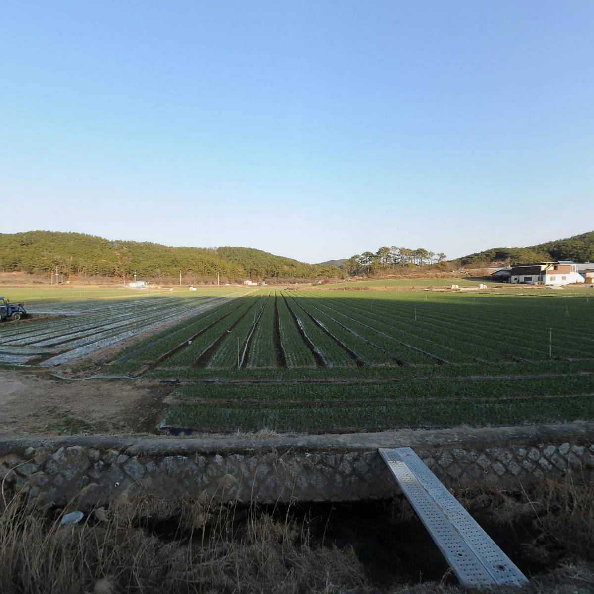 더컨츄리마켓