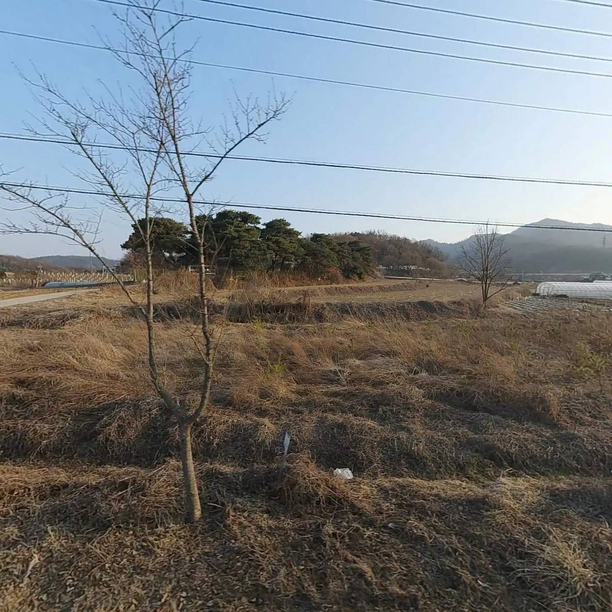 편정아의 발효음식과 차