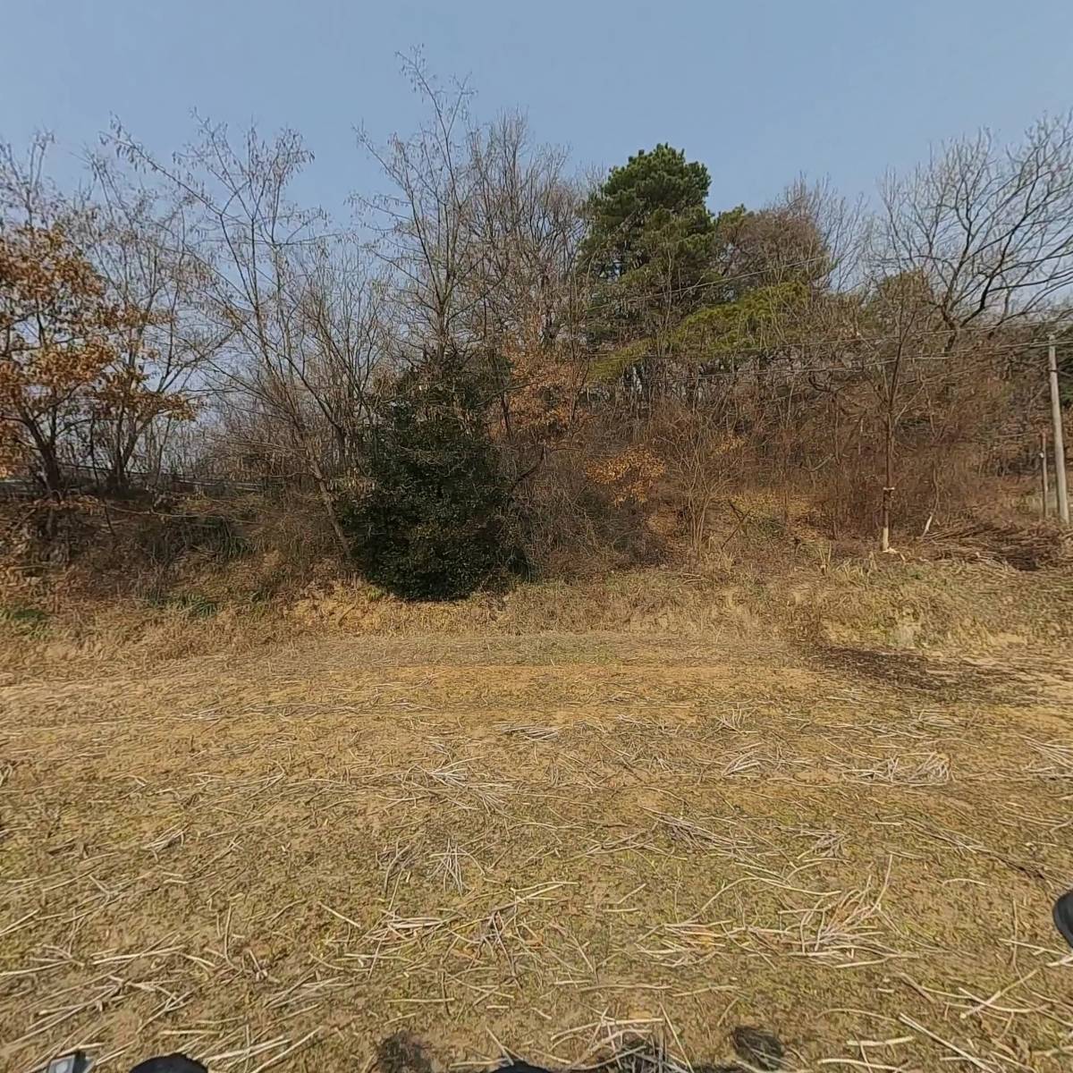 신생기업