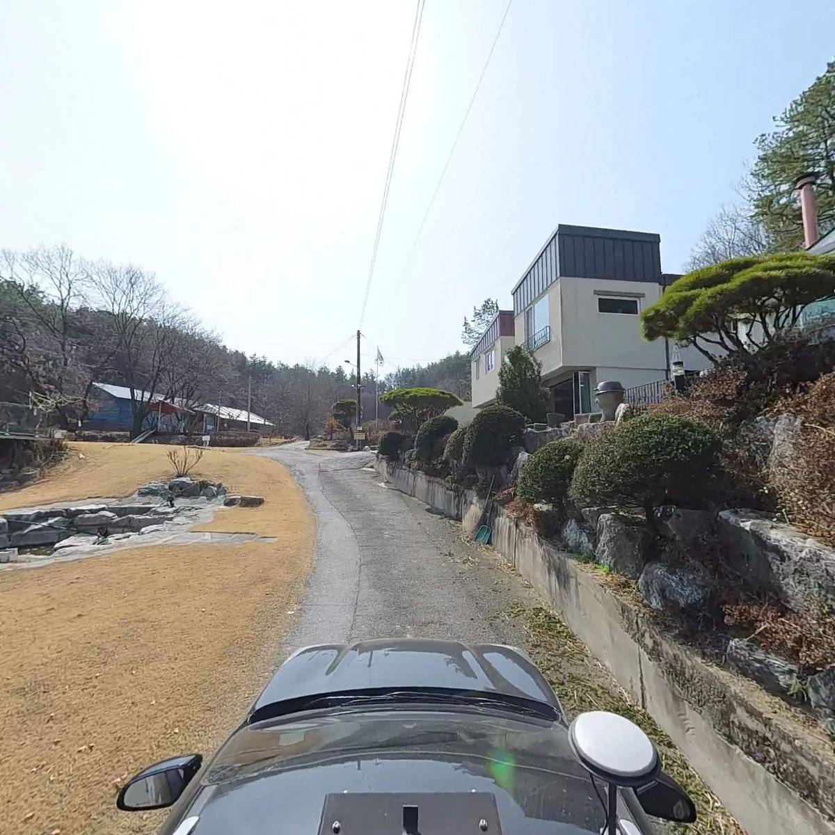 지에스팜(금보약품)_4