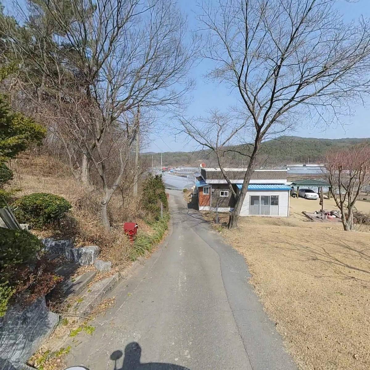 지에스팜(금보약품)_2