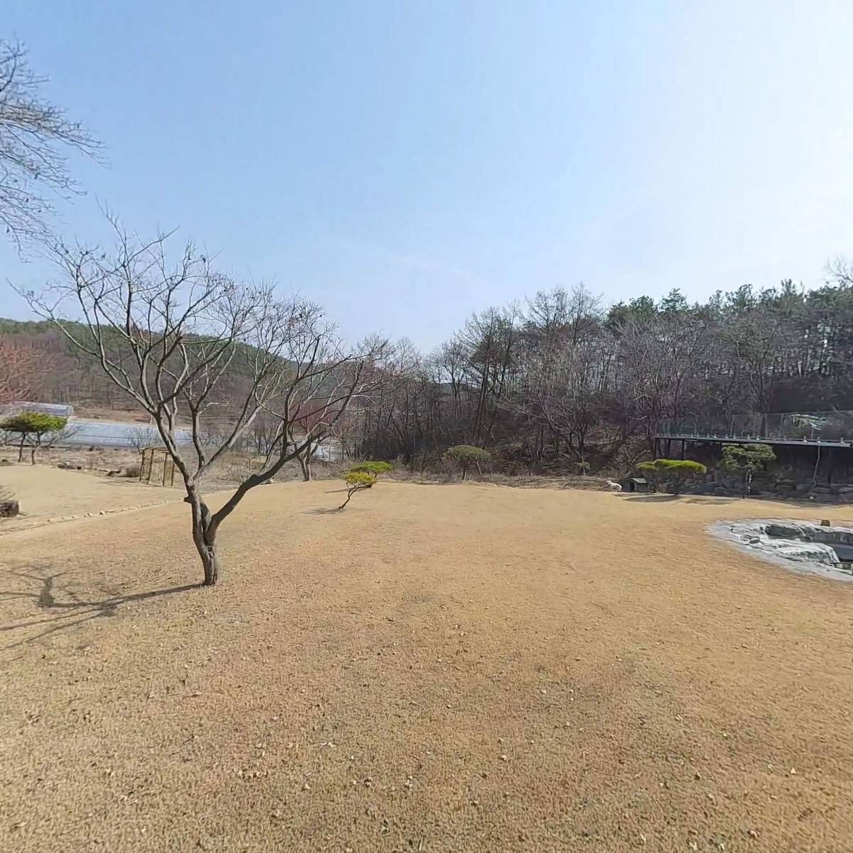 지에스팜(금보약품)_3