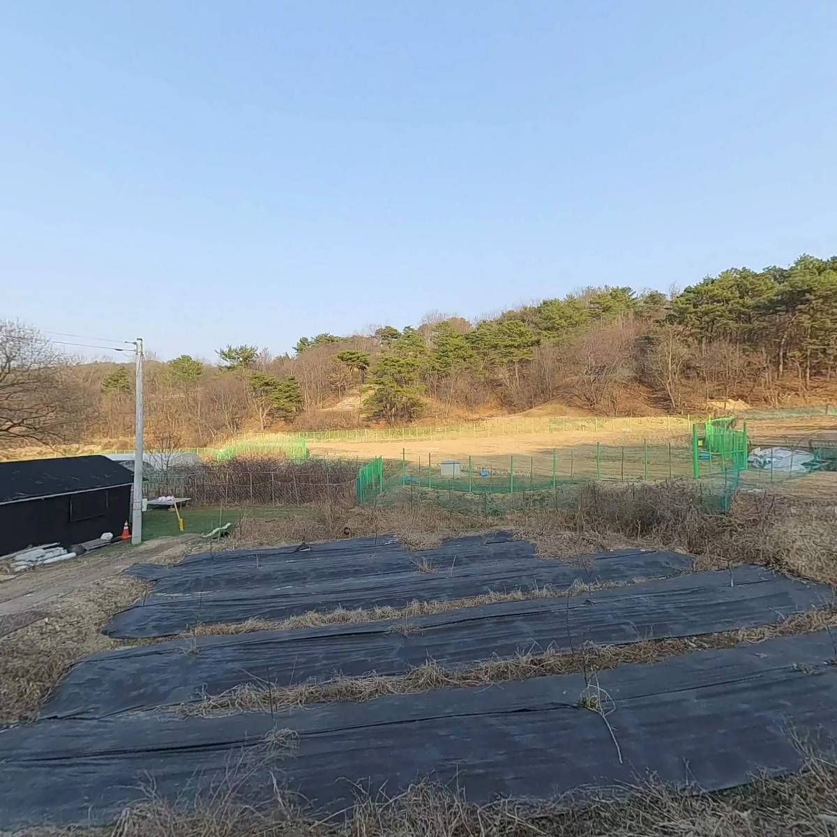 곤충하우스_3
