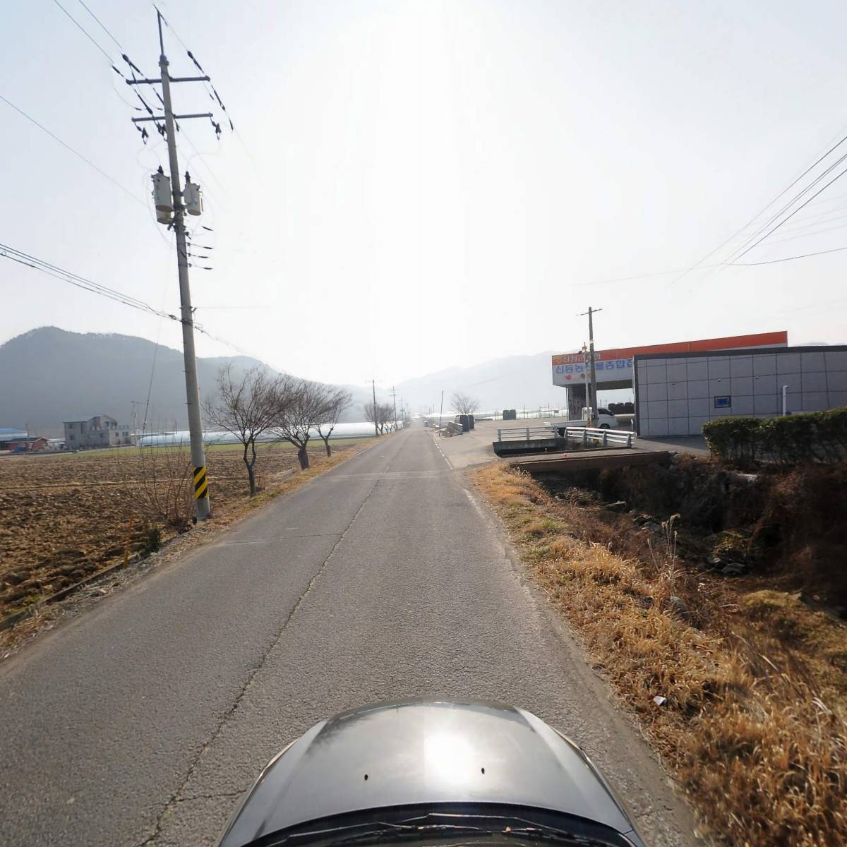 단계딸기작목회_4