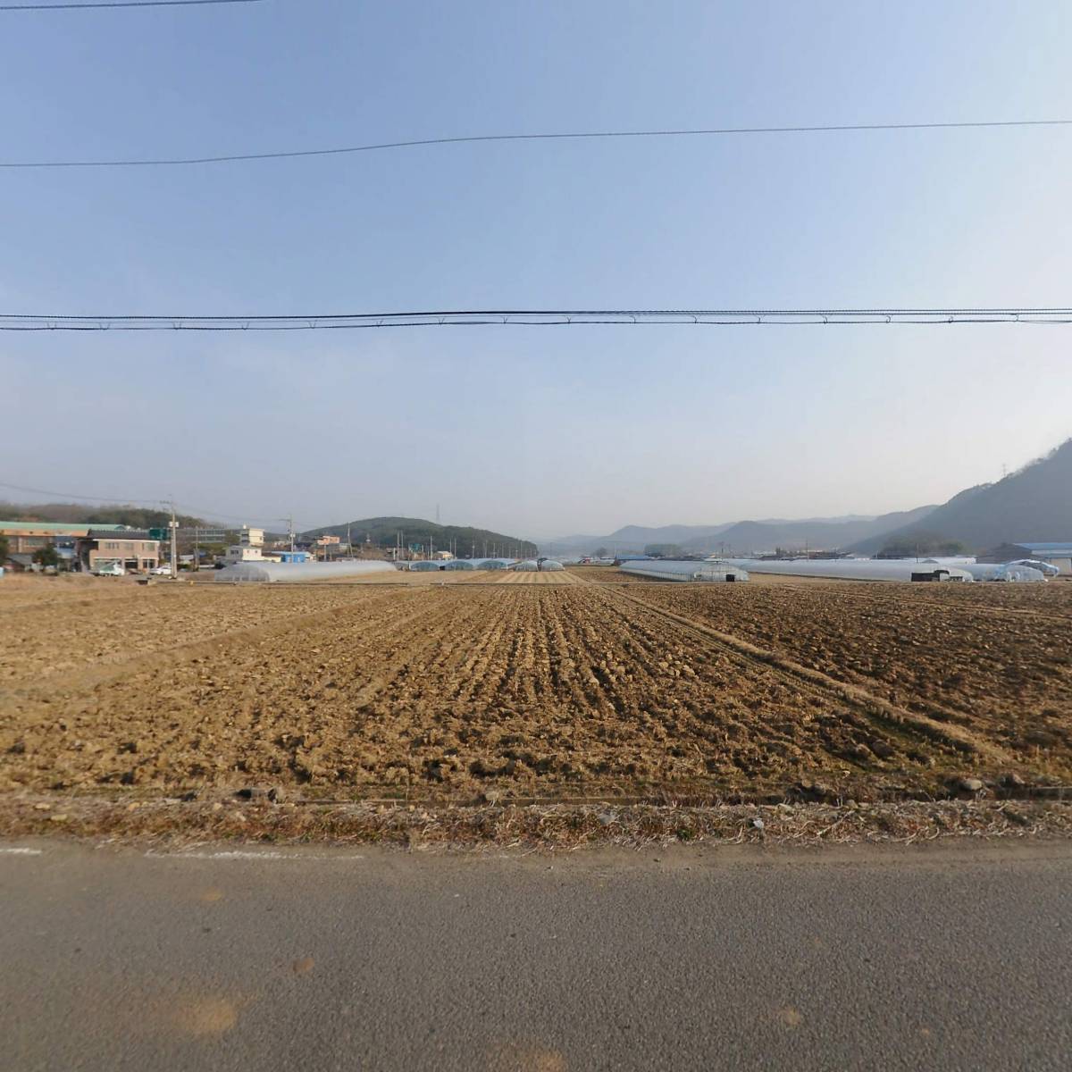 단계딸기작목회_3