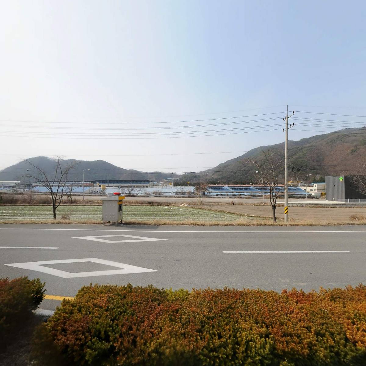 숙이네88식당_3