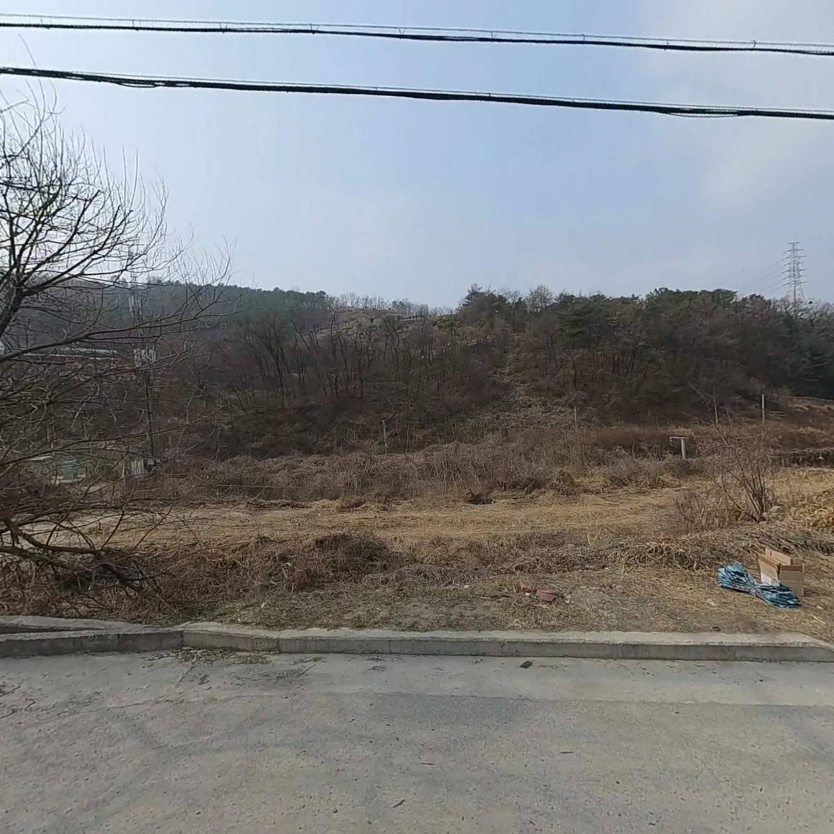 대동물산
