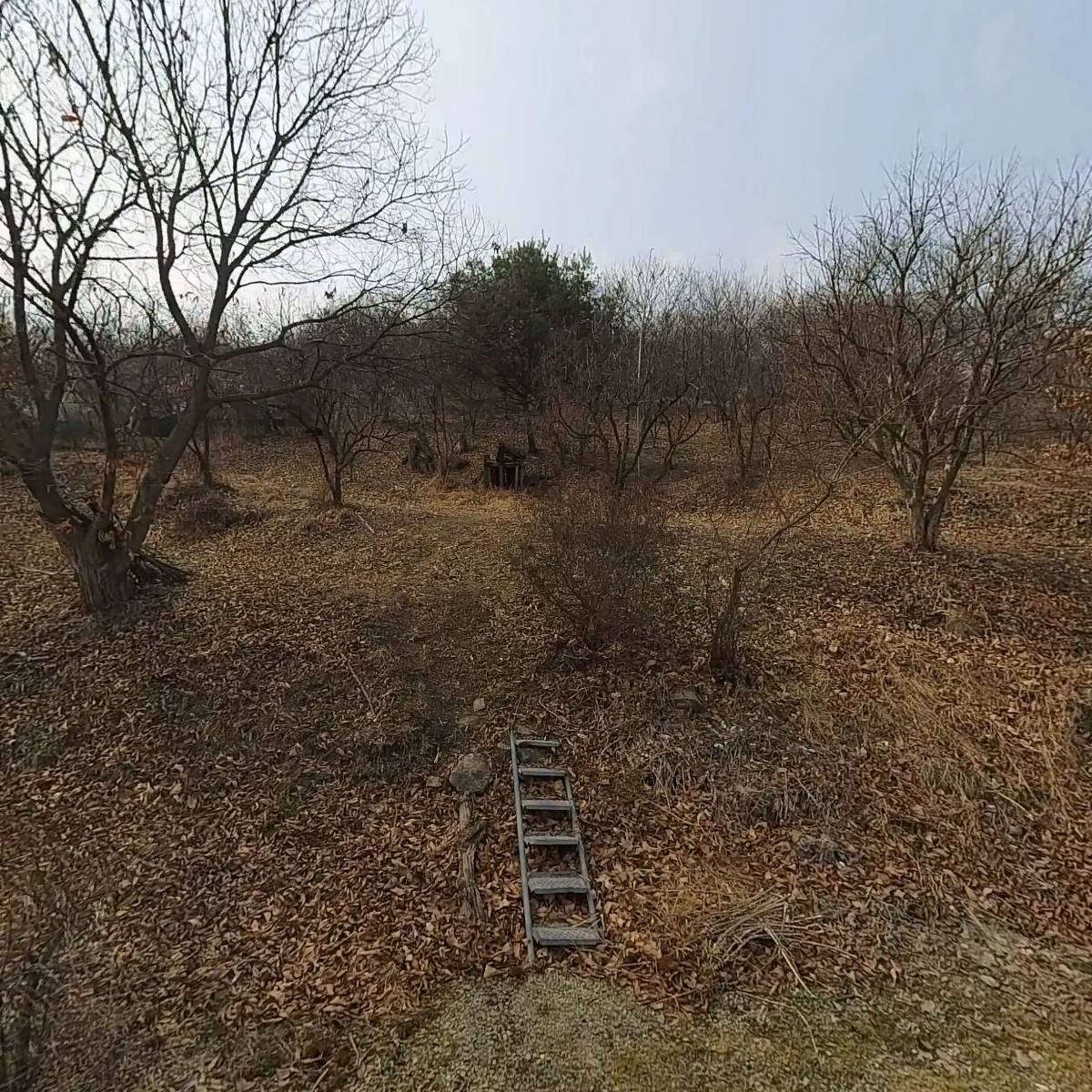 (주)윈플_3