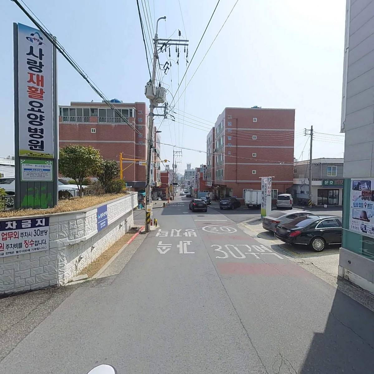 두꺼비 갓김치_2