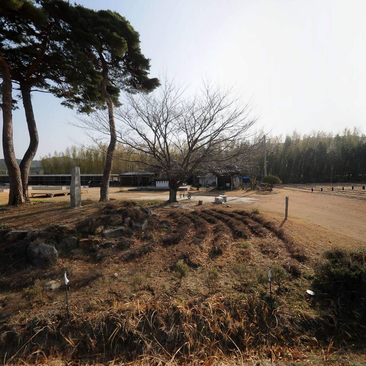 헬렌수（HELLEN`S WATER）_3