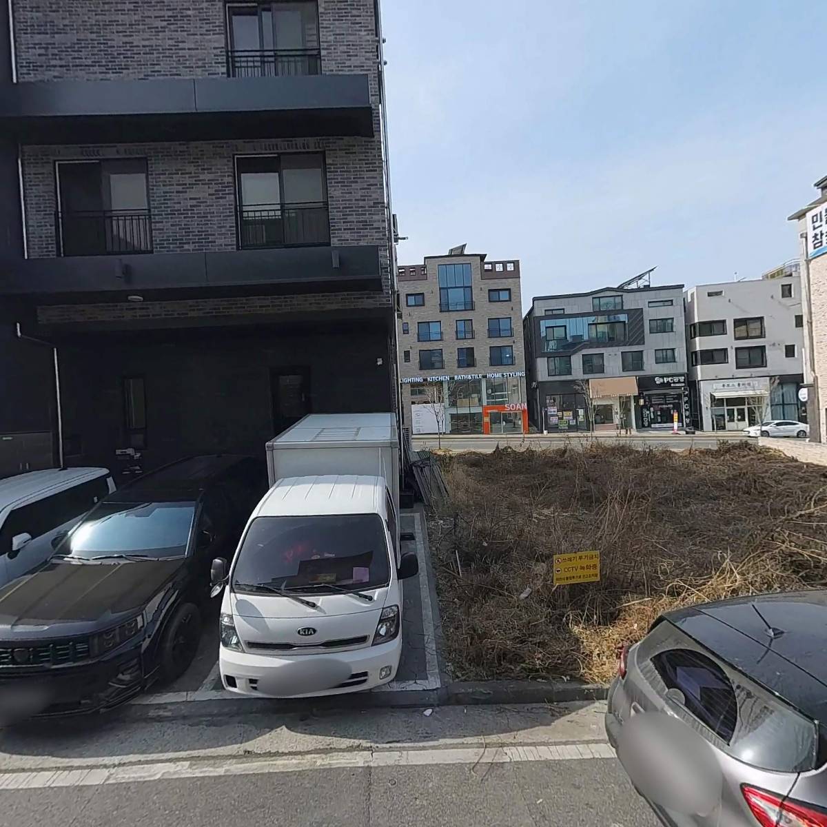 더 블라썸