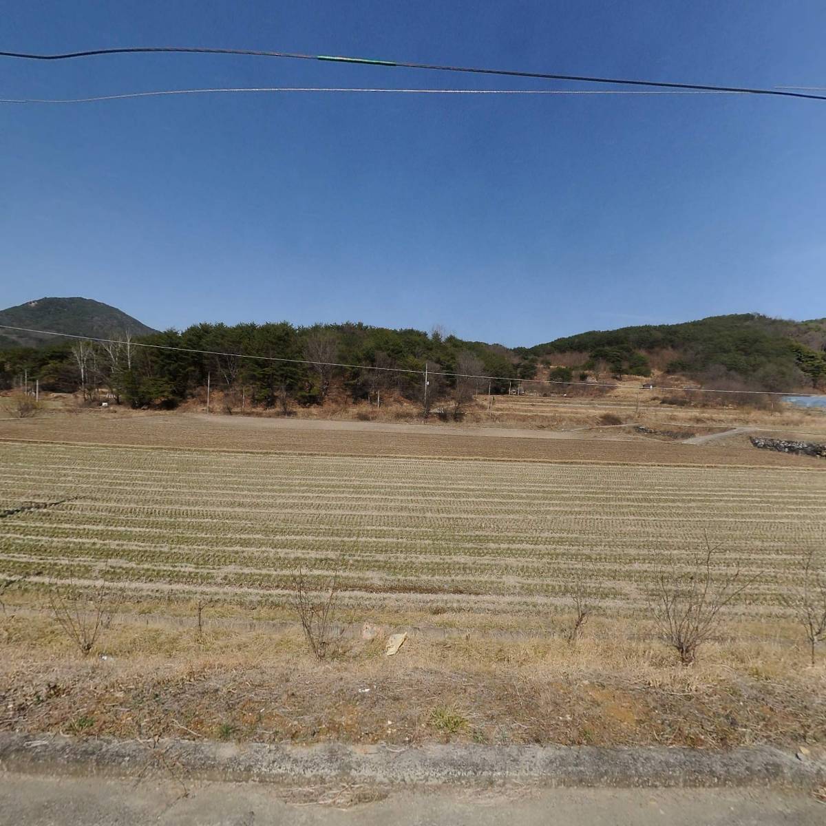 자연에너지(주)