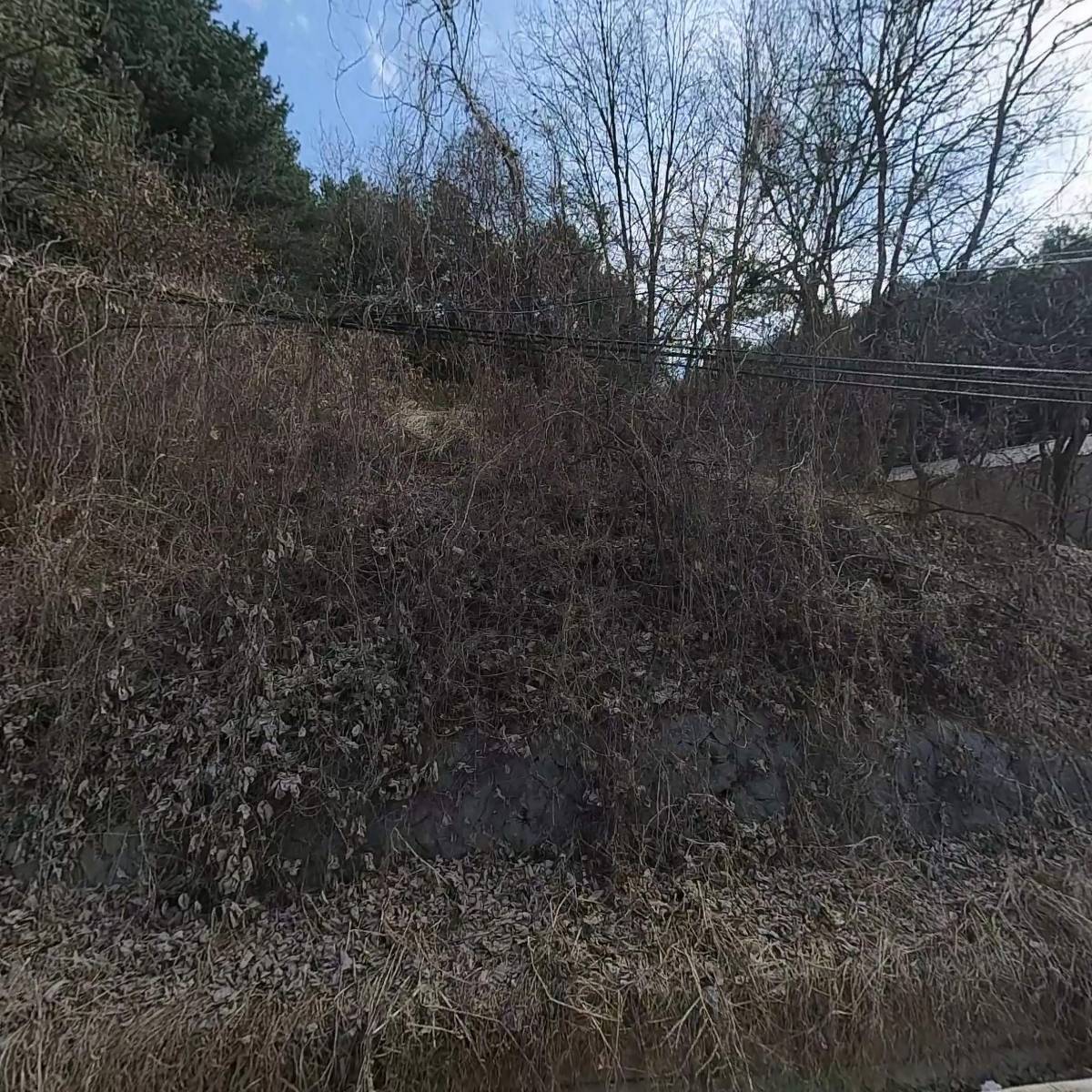 주식회사 티와이일렉스