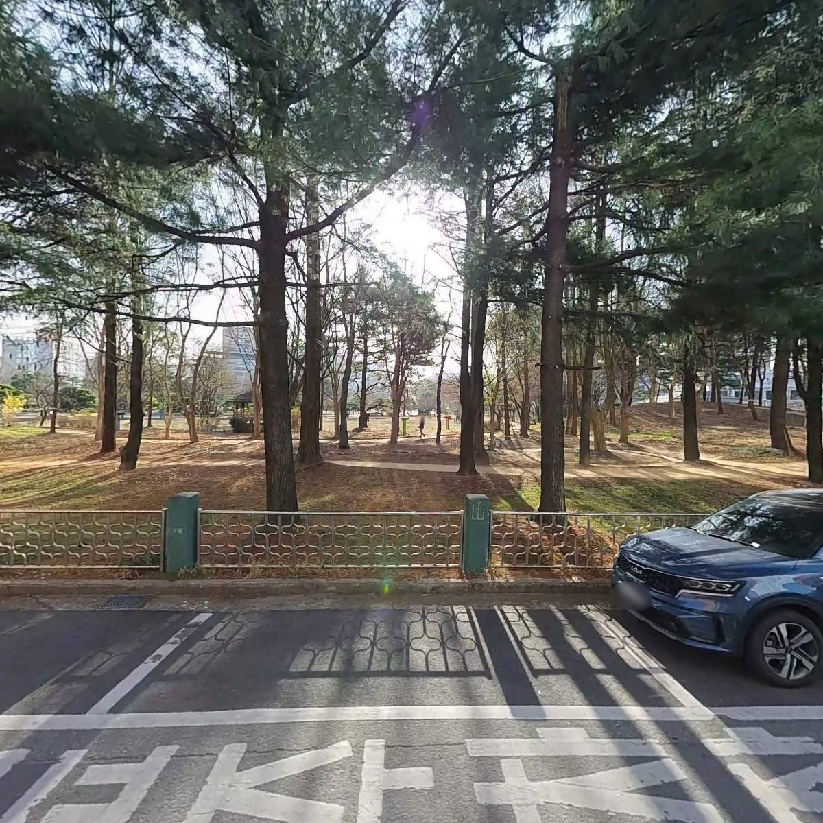 닥스마에스트로당진종합_3