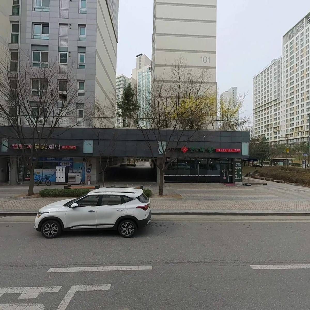 뉴-헤어 도로시_3
