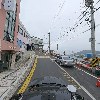 동스_4