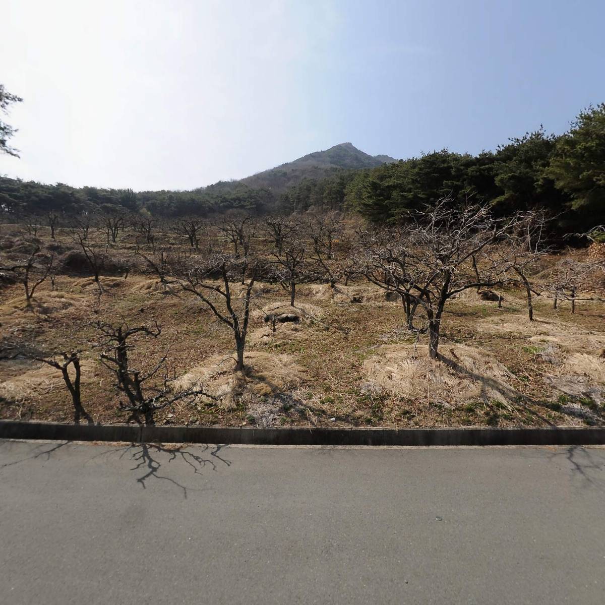 카페1996  펜션1996