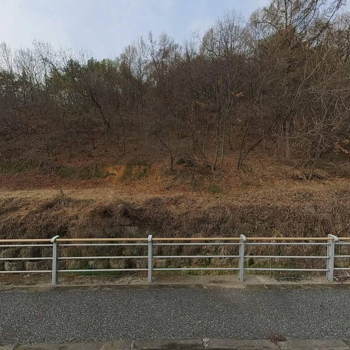 남들과 다르게