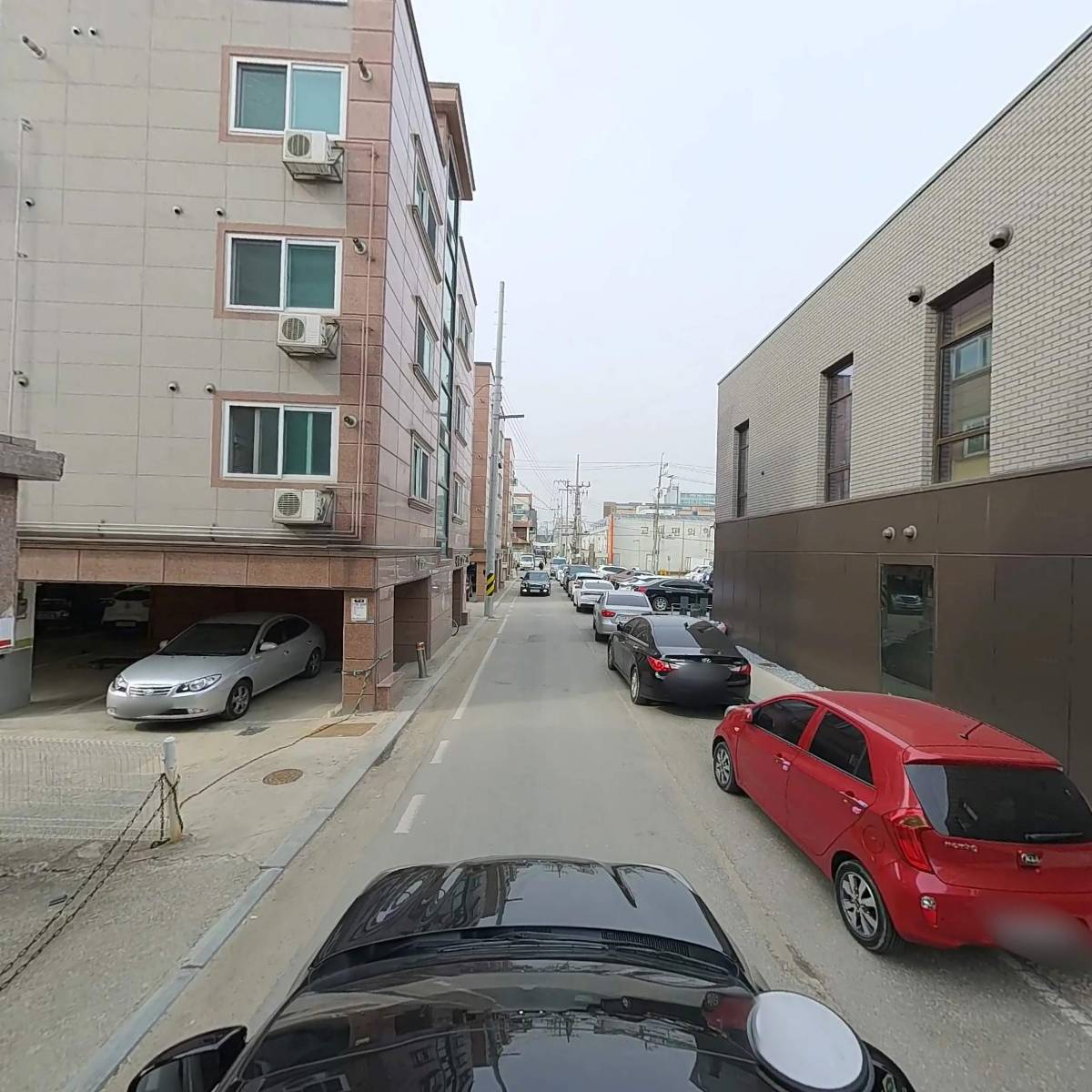 두향_4
