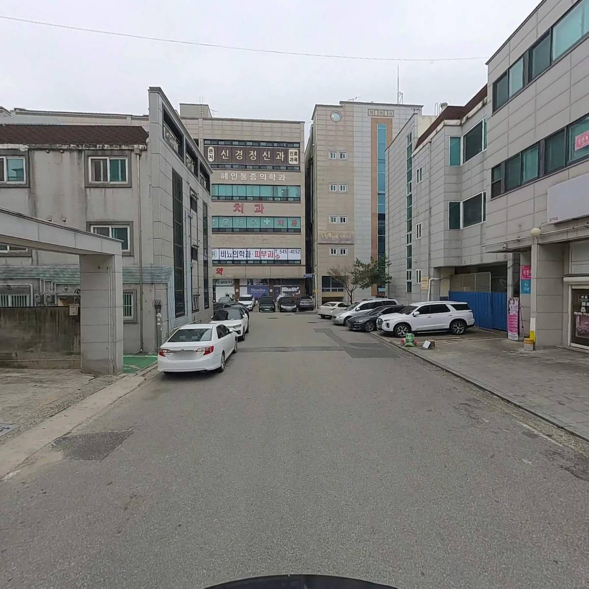 팀 타이거. 킥복싱. 이종격투기_2