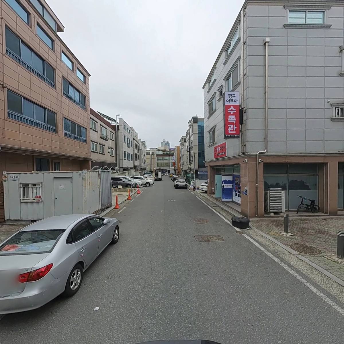민들레 노래연습장_2