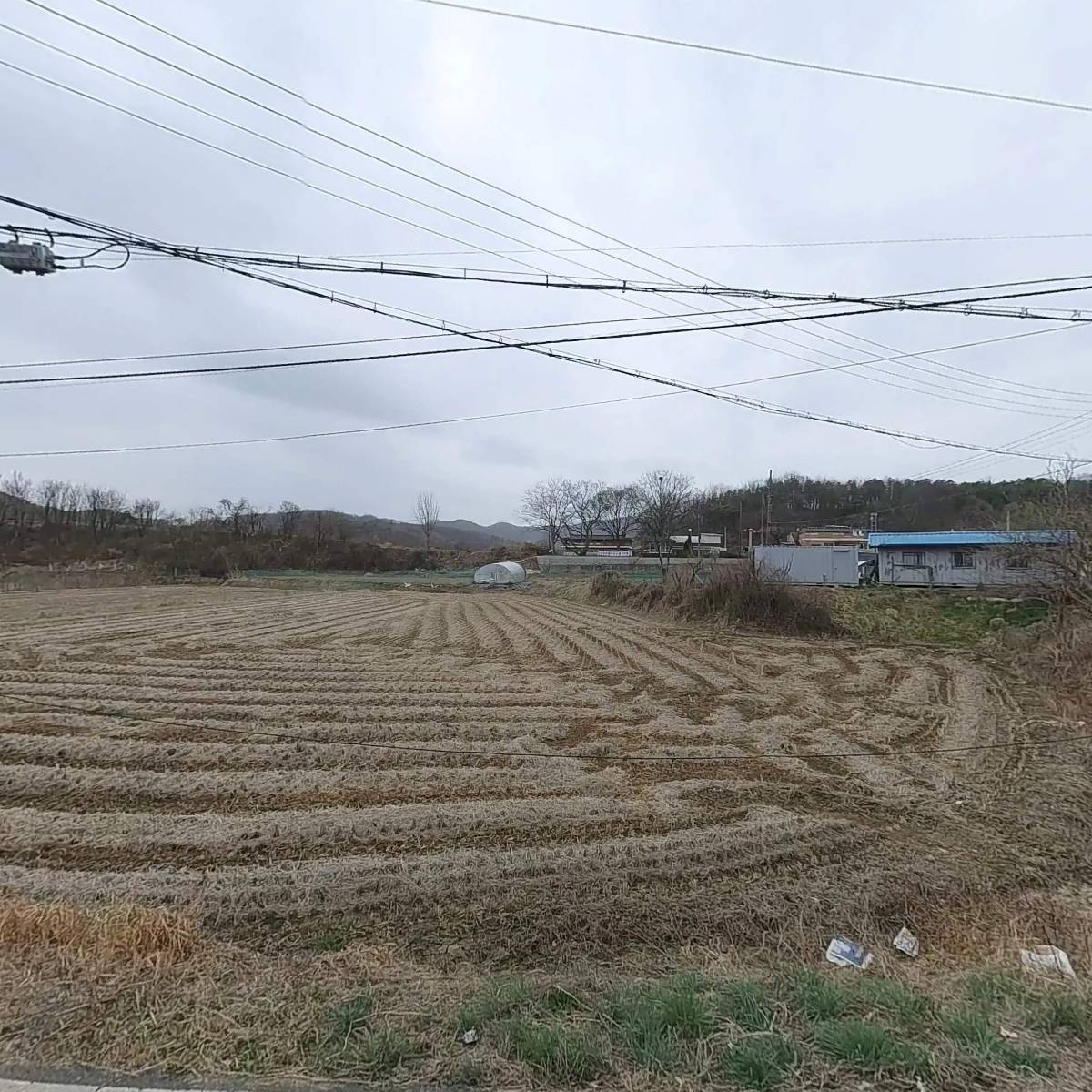 명품세종 농원
