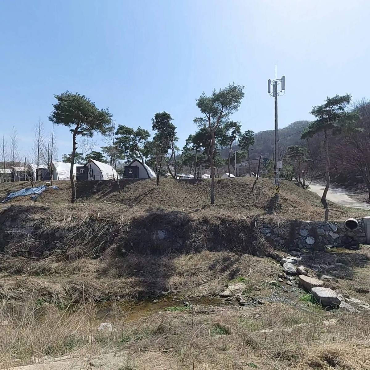 주식회사 다온숲