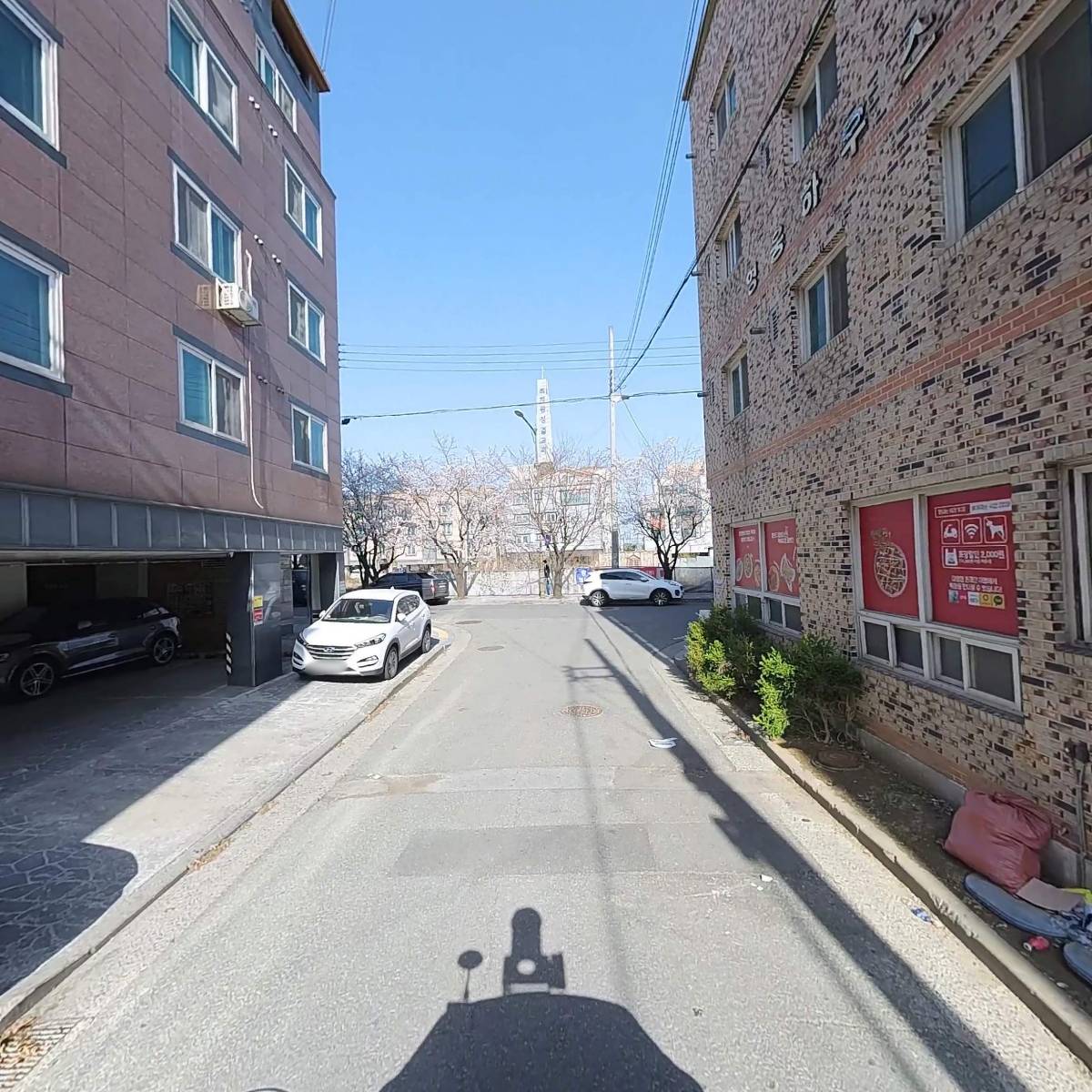 조치원짬뽕_2