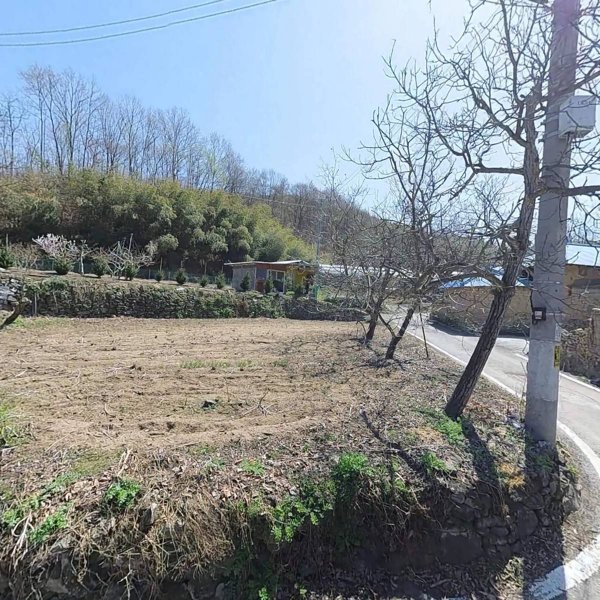유유희