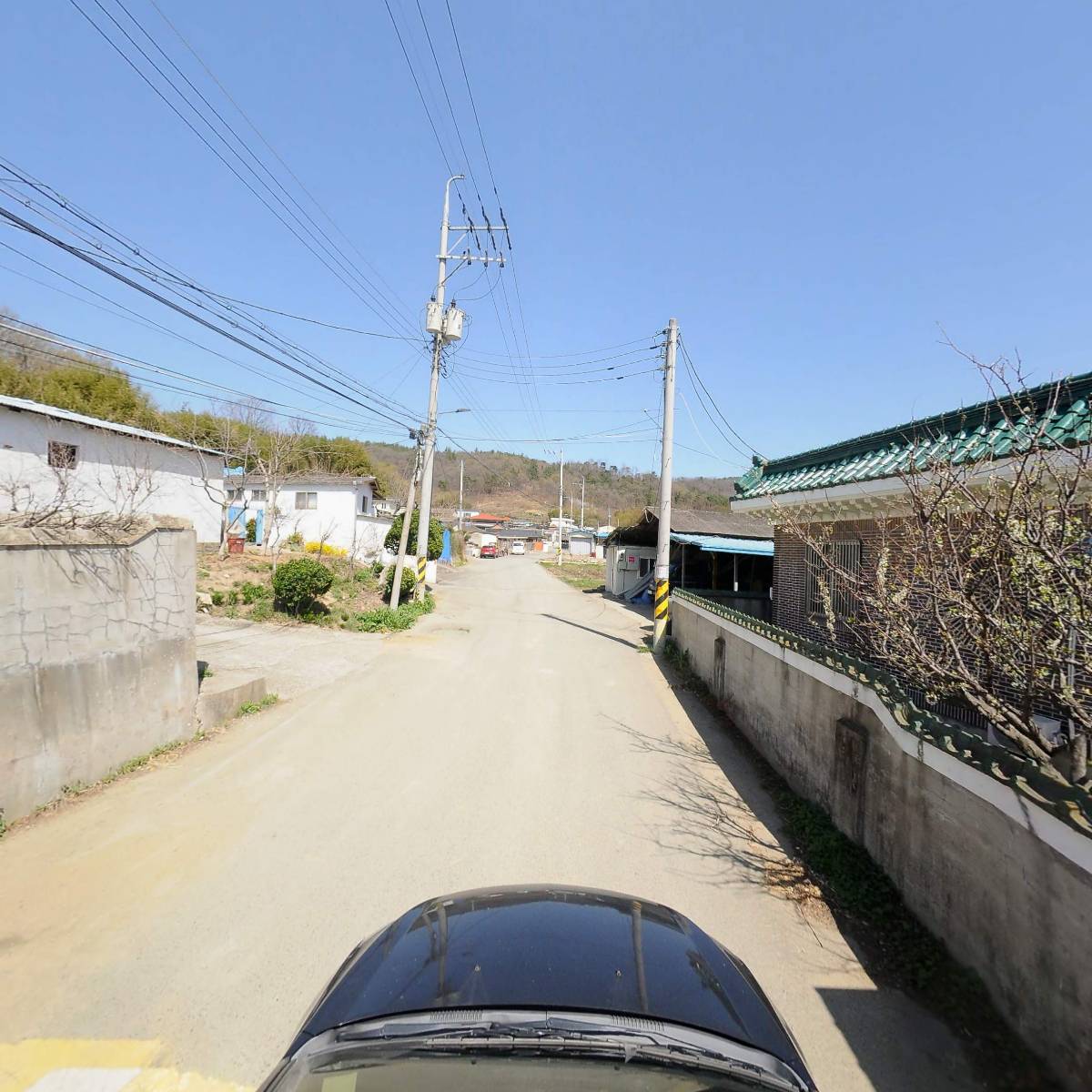 아화농산물_4