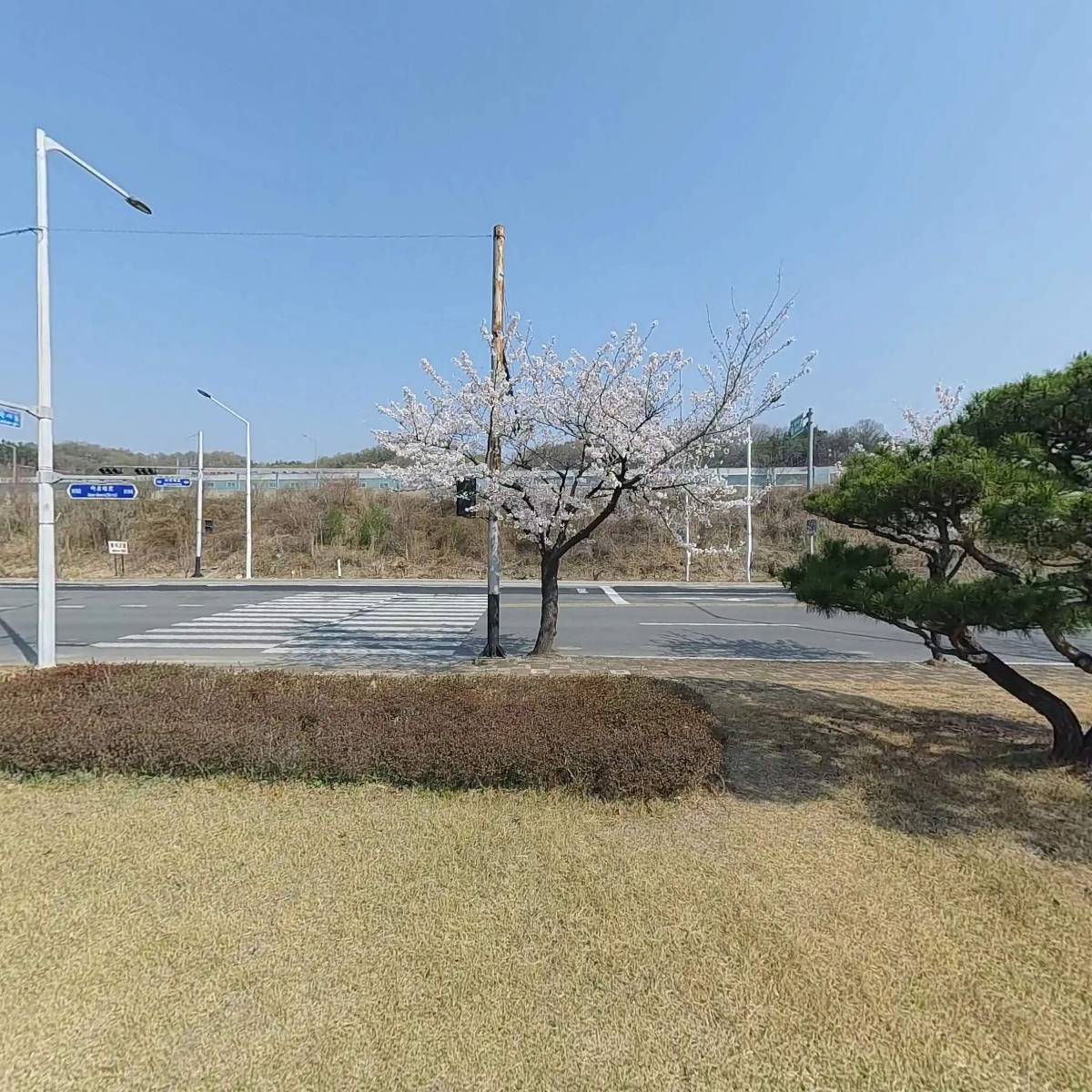 세영디엔씨_3